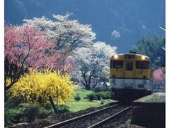 ����Ԃ̉w�����̍��̎ʐ^1