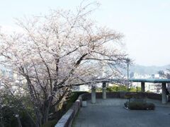 �䎡�R�����̍��̎ʐ^1