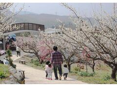 �����~�с@�Ԍ��܂�̎ʐ^1