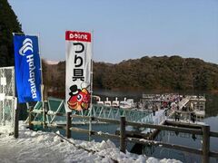 ��50��L�c�΃��J�T�M�ނ���̎ʐ^1