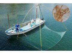 ���E���닛�܂�̎ʐ^1