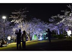 �Ƃ�������@���R�̂����烉�C�g�A�b�v�̎ʐ^1