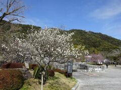 �g�������̔~�̎ʐ^1