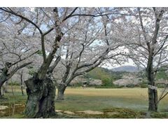 �ї����뉀�̍��̎ʐ^1