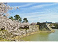 ����Վw�������̍��̎ʐ^1