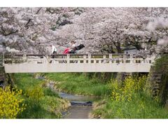 ��̍��̍��̎ʐ^1