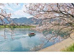 ���{�쉈���̍��̎ʐ^1