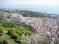 �����R�����̍��̎ʐ^1