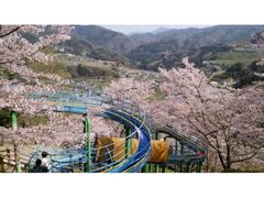 �����p�[�N�̐�{���̎ʐ^1