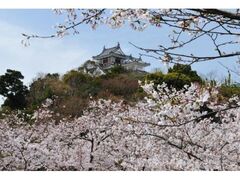 �����R�����̍��̎ʐ^1