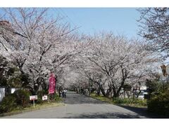 ��e�����̍��̎ʐ^1