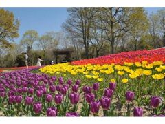 �t���܂�t�F�X�^�̎ʐ^1