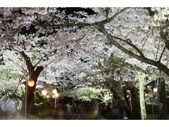 ���ʖ����@�I�ь����t�̃��C�g�A�b�v�̎ʐ^1