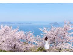 ���_�o�R�̍��̎ʐ^1