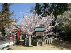 ���@���̔��n���̎ʐ^1