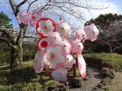 ��������̍��̎ʐ^1