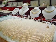 p[tFXeBoin킶2026̎ʐ^1