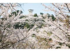 �J��R�����̂�����̎ʐ^1