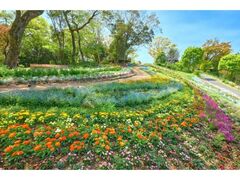 ���񂱂�R�Ԃ���ۂ̎ʐ^1