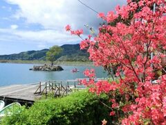 ��������Ղ�̎ʐ^1