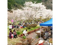 �ƒn������̍��̎ʐ^1