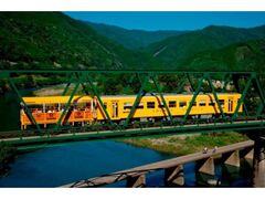 ���܂�g���b�R�̎ʐ^1