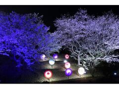 �����������܂�̎ʐ^1