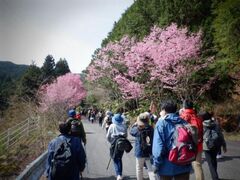 ���n�ƕ������E�˂̓��@���A��o�X�c�A�[�̎ʐ^1