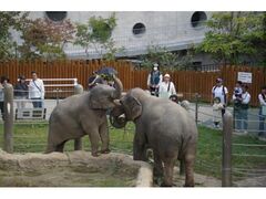 �����s�������@�ߕ����ʊ��̎ʐ^1