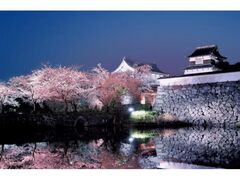 �����邳����܂�̎ʐ^1