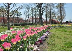 �t�@�~���[�t�����[�t�F�X�e�B�o���̎ʐ^1