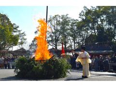 �얀����F���Ղ̎ʐ^1