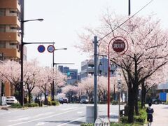 �O�c������Ղ�̎ʐ^1