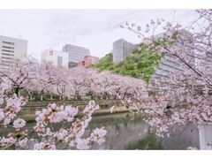 �������c�V�_���������@���Ԍ��\��̎ʐ^1