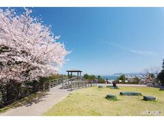 �������̍��̎ʐ^1