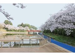 �Ö،����̍��̎ʐ^1