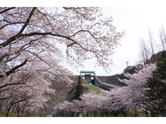 �����_�����ӂ̍��̎ʐ^1