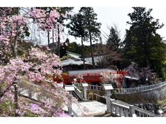 �ێR�ω����̍��̎ʐ^1