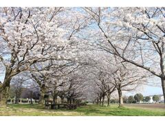 �L�����ԉ��̍��̎ʐ^1