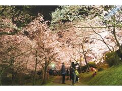 �c������@������C�g�A�b�v�̎ʐ^1