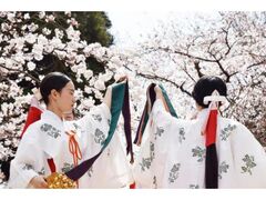 �Ƃ��퐶���܂�̎ʐ^1