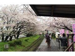 �Y�m��w���ӂ̍��̎ʐ^1