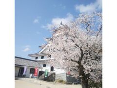 ���Ï�i���ߌ����j�̍��̎ʐ^1