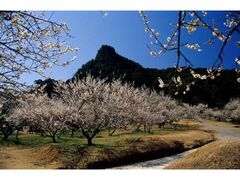 ��D���u�~�т̔~�̎ʐ^1