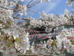 ��㋬�̍��̎ʐ^1