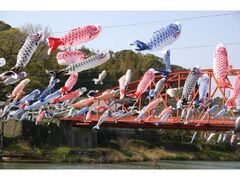 ��㋬�t�܂�@�����̂ڂ�̐������̎ʐ^1