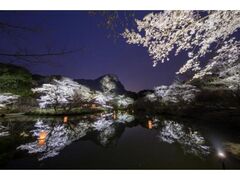 ��D�R�y���@�Ԃ܂�̎ʐ^1