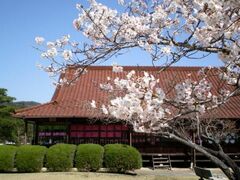 ���v�E�E�q�̗��̍��̎ʐ^1