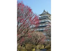 ������@�Ö�~���̎ʐ^1