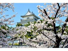 ������̍��̎ʐ^1